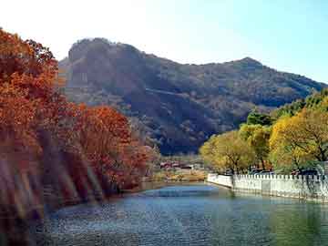 正版澳门天天开彩大全，电石厂家